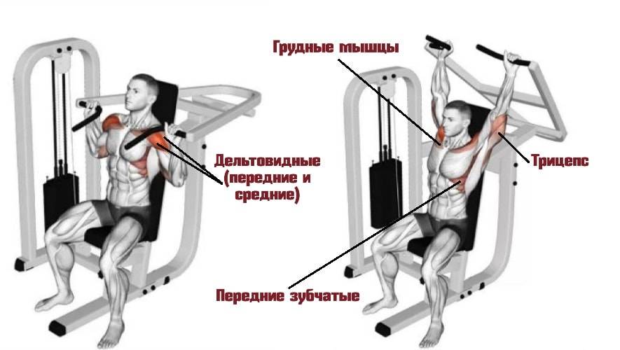 Жим сидя в тренажёре: правильная техника упражнения | rulebody.ru — правила тела