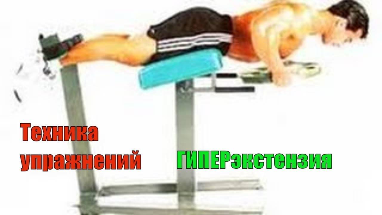 Упражнение для укрепления спины. гиперэкстензия в тренажёре.
