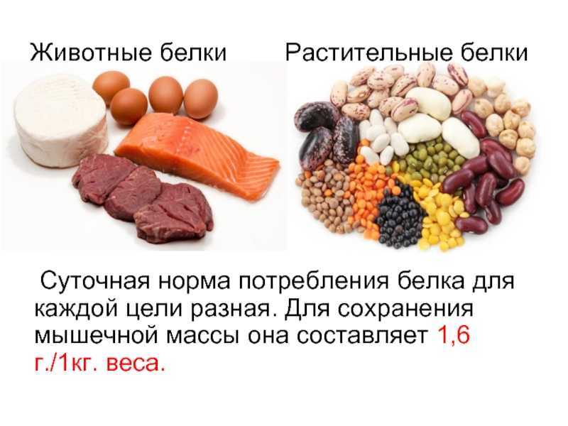 Миф 1 г/фунт (2,2 г/кг): оптимальное потребление белка в бодибилдинге