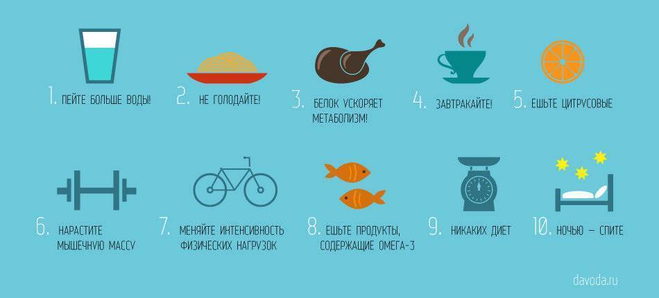 Как замедлить метаболизм в организме: продукты и препараты, замедляющие обмен веществ | irksportmol.ru