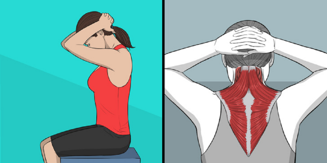 Как накачать в домашних условиях шею – безопасные упражнения