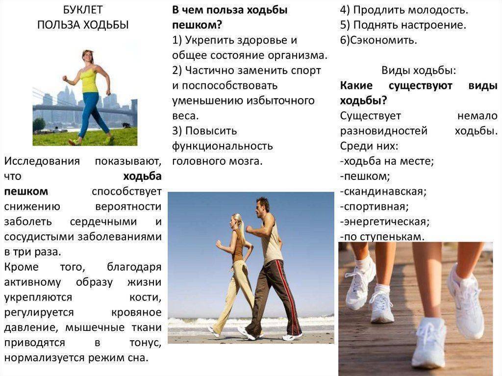 Польза ходьбы пешком для здоровья женщин и мужчин, вредно ли много ходить