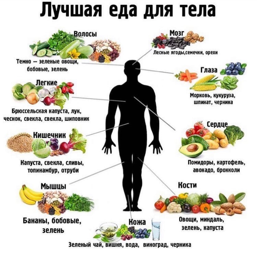 20 самых полезных продуктов питания для здоровья