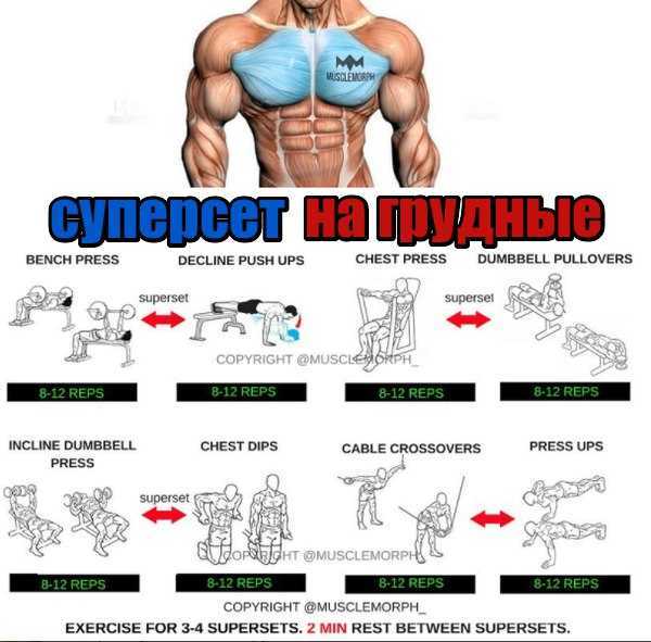 5 способов увеличить объем нагрузки и ускорить мышечный рост - bodybuildingsport.ru