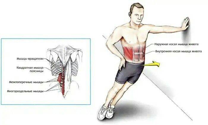 Лечите ли вы диастаз прямых мышц живота? - евразийский центр бариатрии