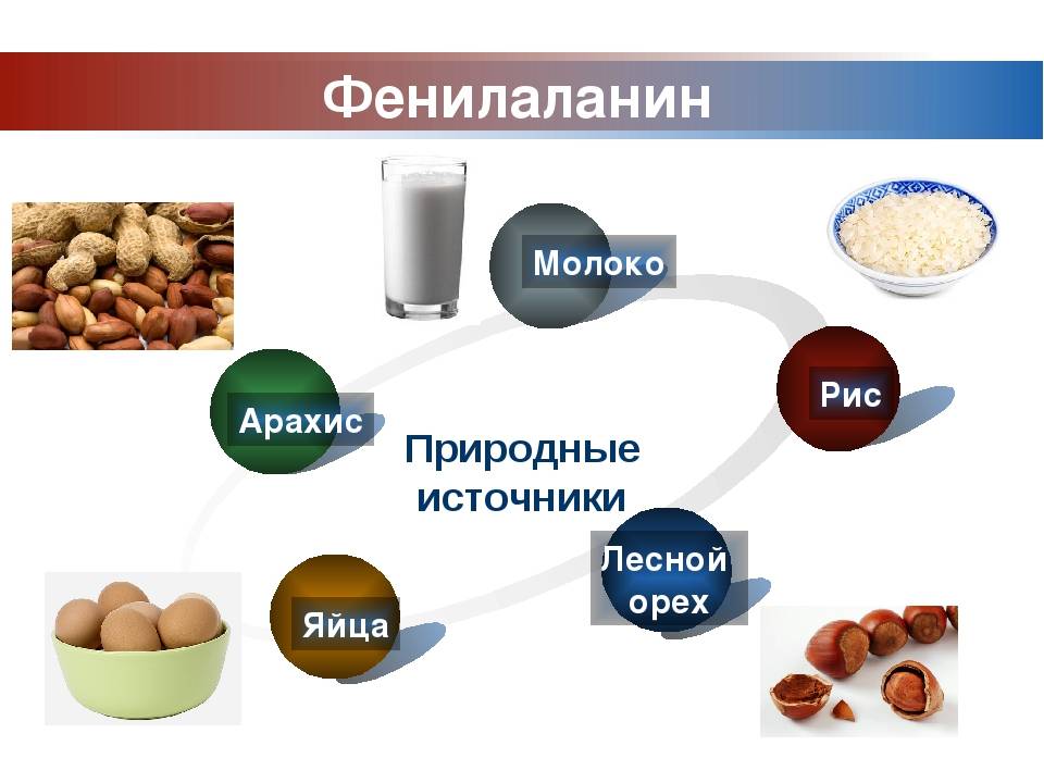 Содержание фенилаланина в основных продуктах питания — vsv