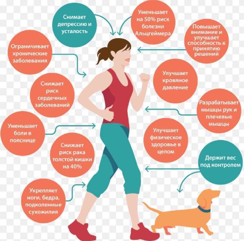 Ходьба пешком: виды, польза, расход калорий - "марафонец"