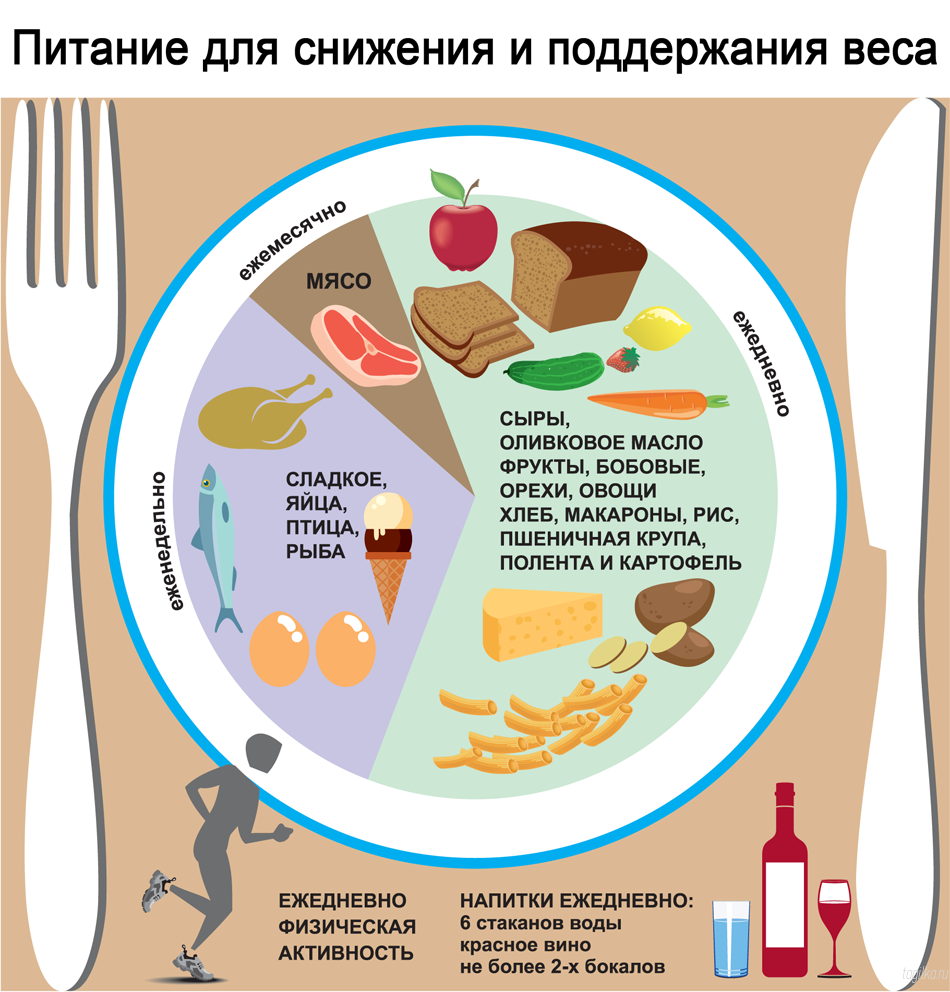 Время приема пищи при правильном питании | zozhmania.ru | дзен