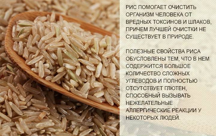 Рис: польза и вред, состав, виды, сорта и свойства