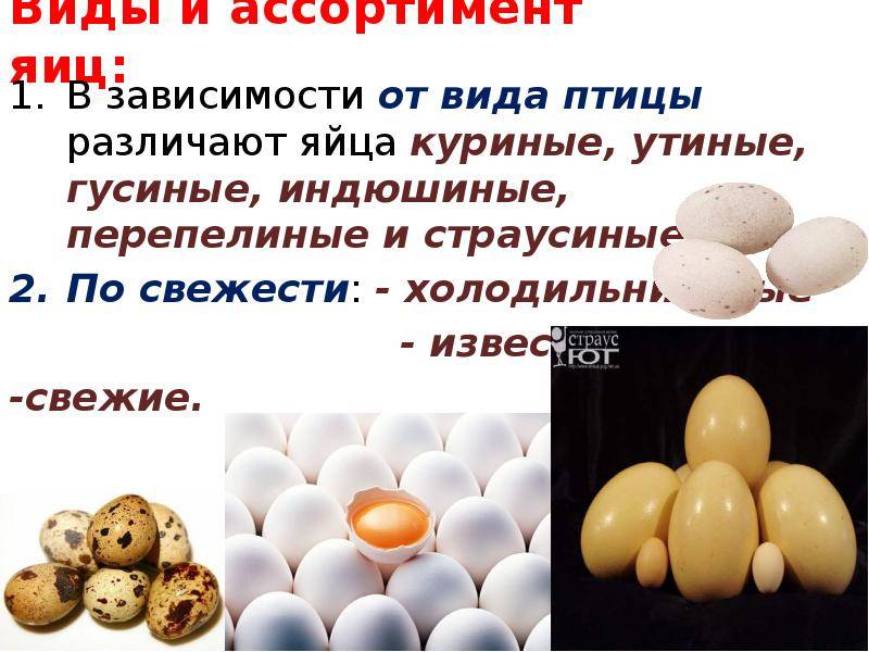 10 яичных белков в день. яйца в бодибилдинге. способы приготовления яиц для набора мышечной массы