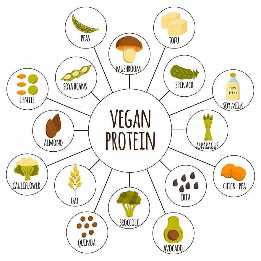 Где взять белок вегетарианцу и вегану?