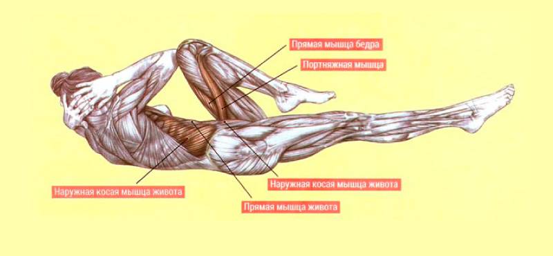 Мышцы кора: упражнения для мужчин и женщин в домашних условиях - спортзал