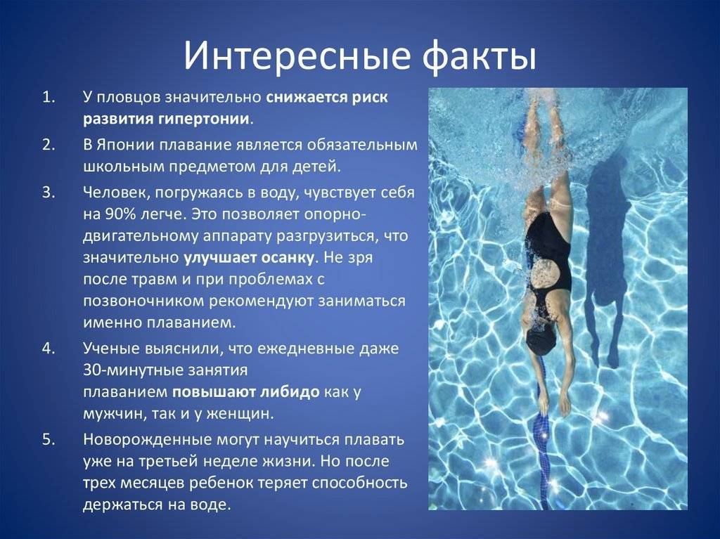 Как плавать, чтобы худеть: жиросжигающая тренировка и топ-5 упражнений для бассейна