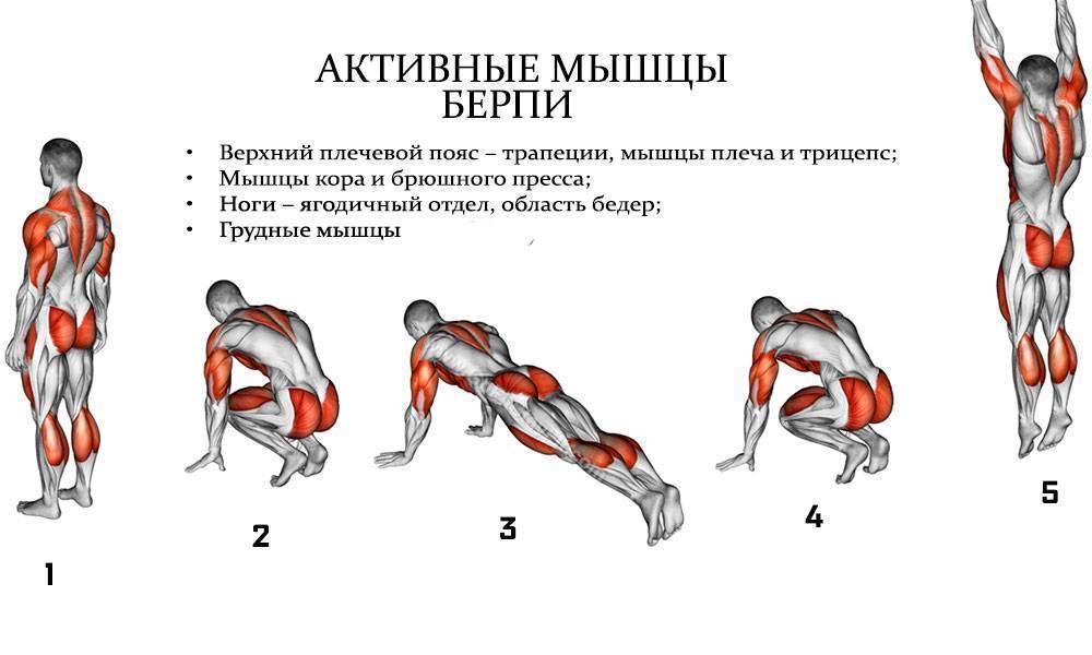Отжимания узким хватом: виды упражнения и техника исполнения | rulebody.ru — правила тела