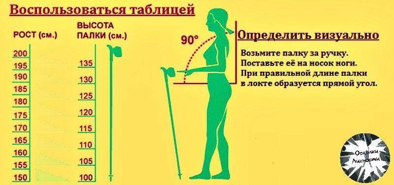 Как правильно подобрать палки для скандинавской ходьбы — life-sup.ru