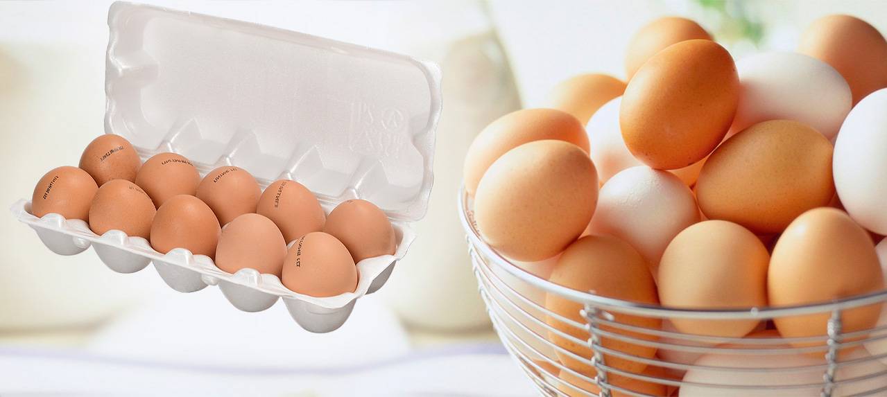 Пить домашние яйца. Диетические яйца. Яйцо домашнее куриное. Домашние яйца реклама. Диетические и столовые яйца.