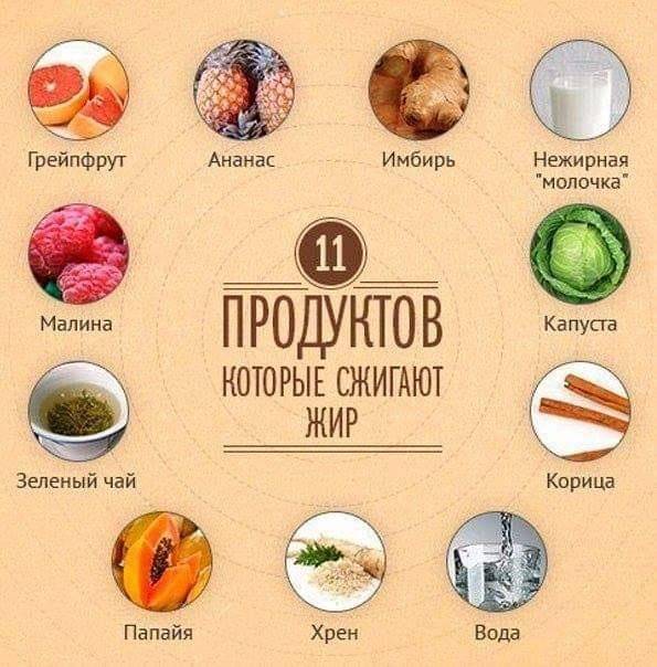 Продукты питания сжигающие жиры, какие продукты питания сжигают жиры - sportobzor.ru