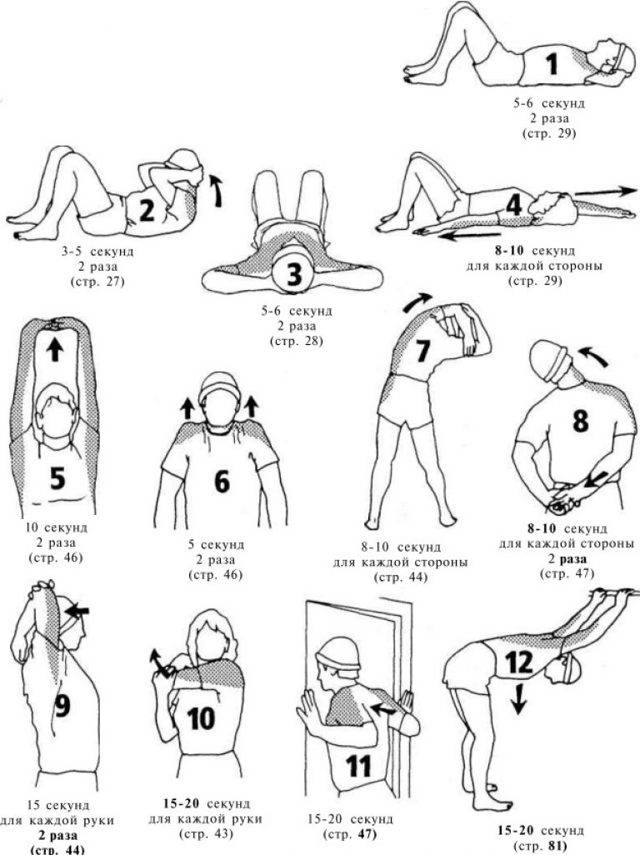Растяжка шеи: упражнения на стретчинг мышц шейного каркаса с фото
