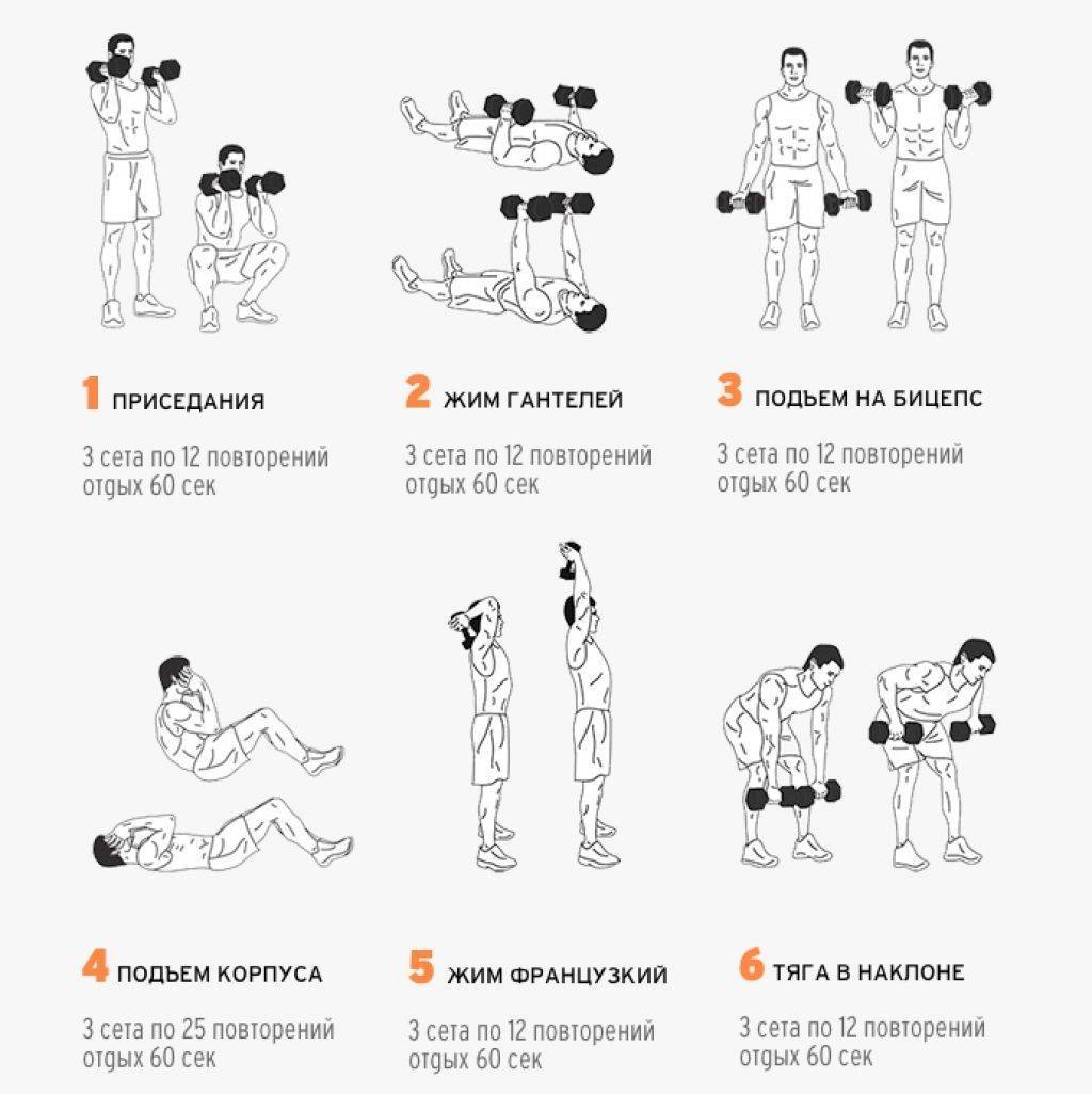Программа тренировок дома с гантелями для мужчин для набора мышечной массы