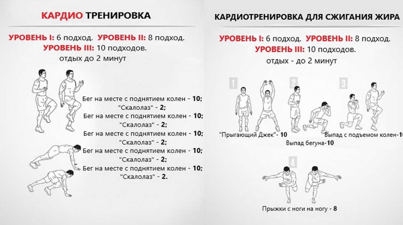 Интервальная тренировка для сжигания жира дома и в зале | irksportmol.ru