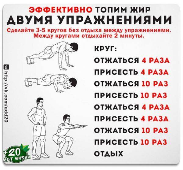 20 минут кардио: особенности тренировок, мифы и заблуждения, советы тренеров - tony.ru