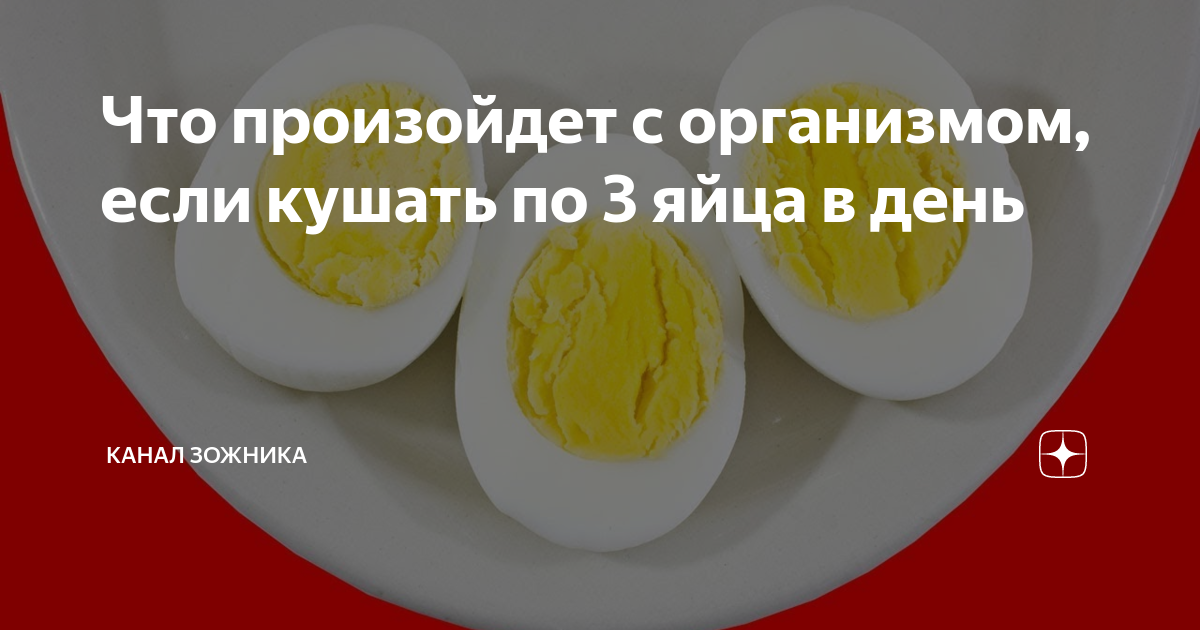 Перепелиные яйца в повседневном меню: вред и польза необычного продукта
