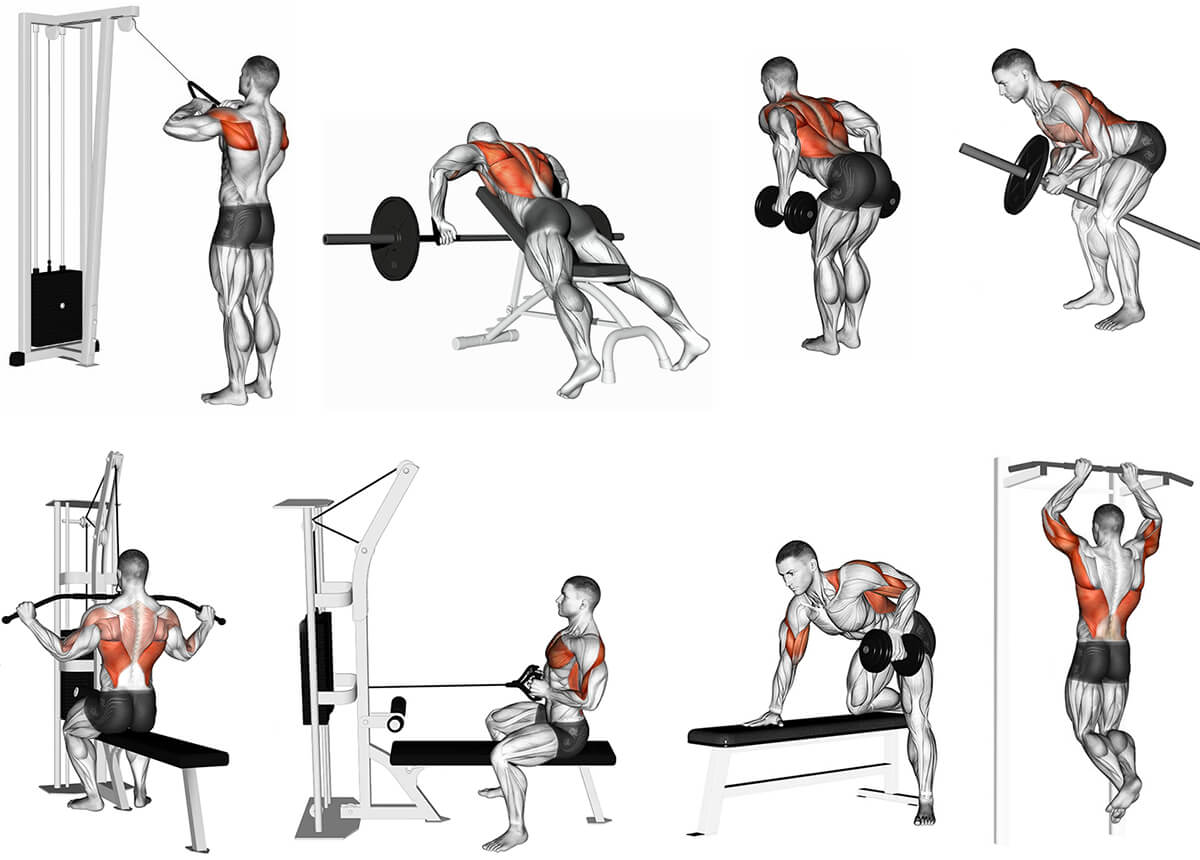 Упражнения со штангой на грудные мышцы: особенности и программы тренировок