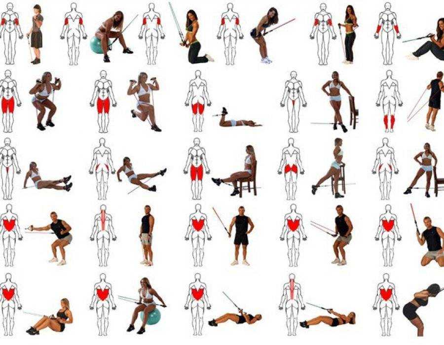 Виды эспандеров для занятий фитнесом и домашних упражнений