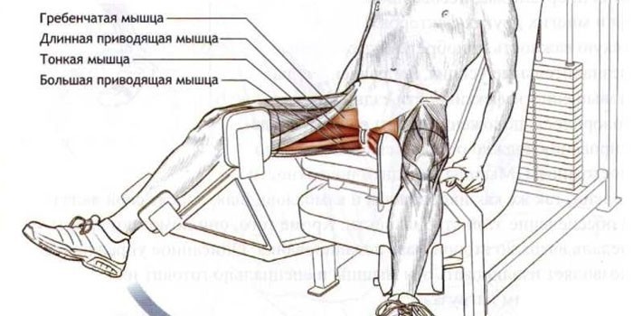 Сведение ног в тренажере - прекрасный способ укрепить внутреннюю часть бедра