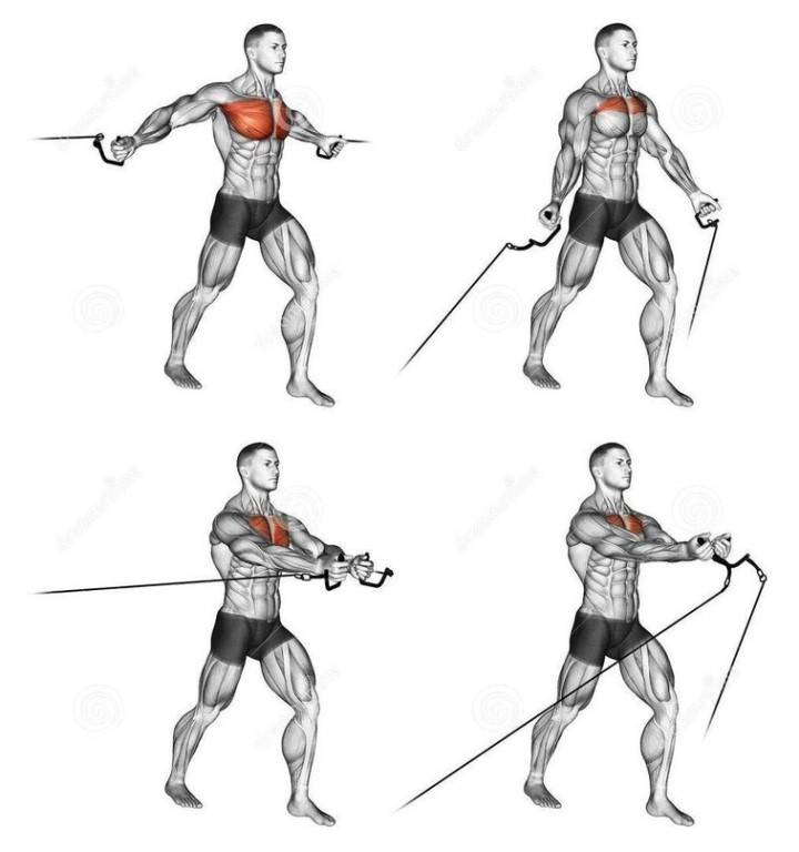Сведение рук – упражнения в кроссовере на верхних блоках: вариации для верха и середины груди