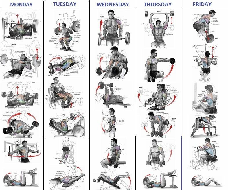 Программа тренировок для похудения в тренажерном зале для мужчин на 4 раза в неделю