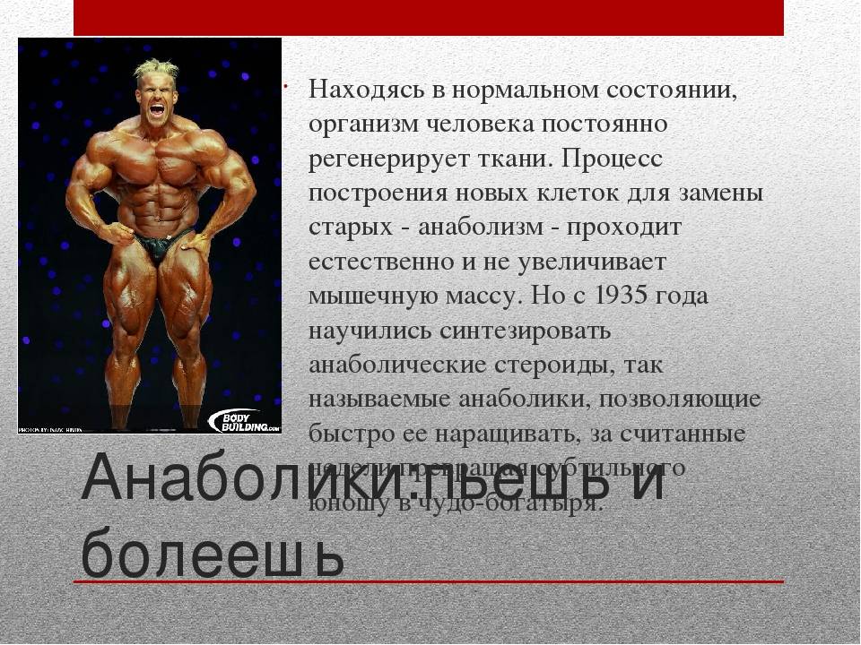 Все о стероидах: история, свойства, применение - tony.ru
