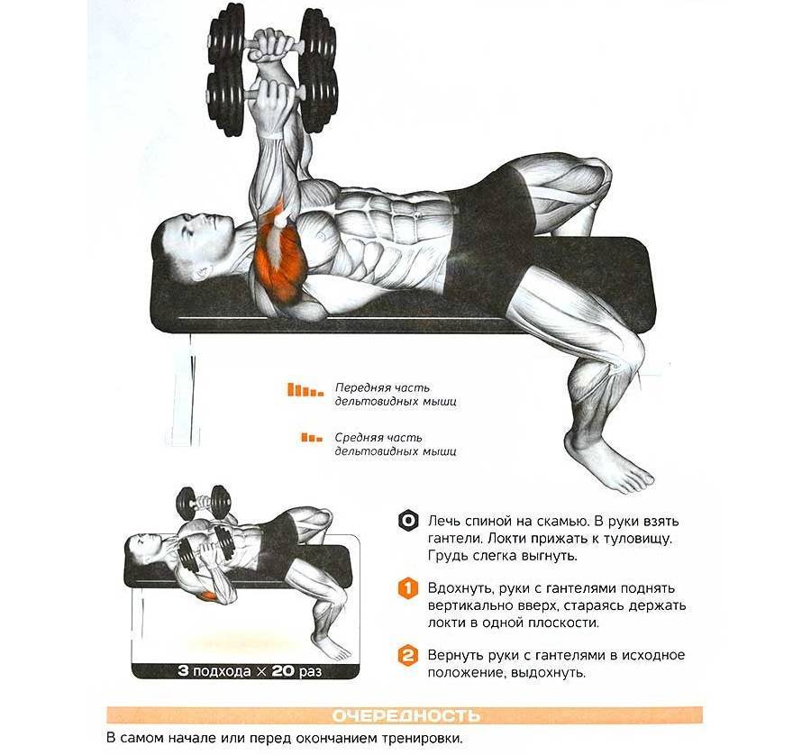 Жим гантелей лежа: обзор упражнений на горизонтальной скамье (видео, фото, схемы)