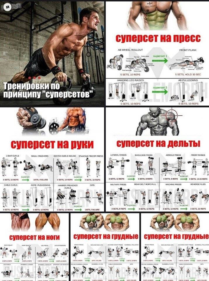 Тренировка суперсетами. программа тренировок в тренажерном зале - tony.ru
