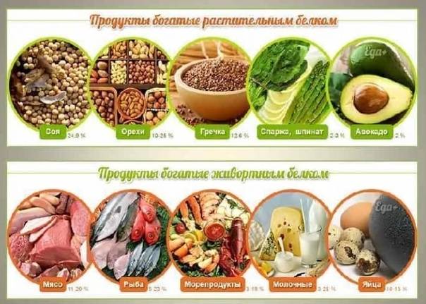 Растительный белок: список продуктов