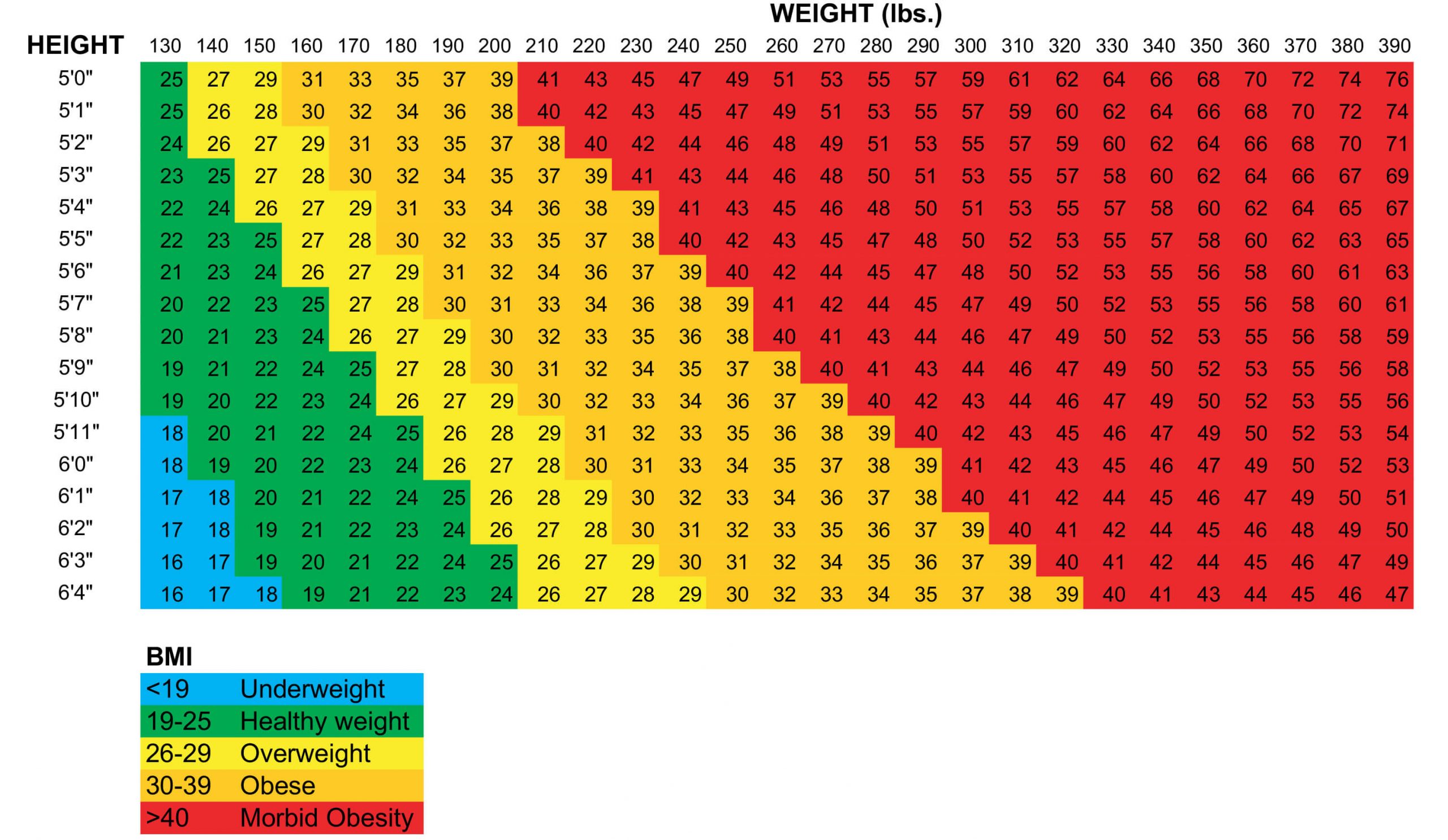 Индекс массы тела: делаем правильные расчёты