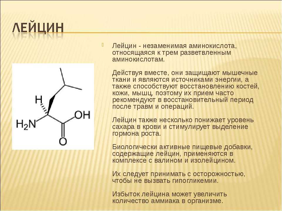 Изолейцин + продукты богатые изолейцином