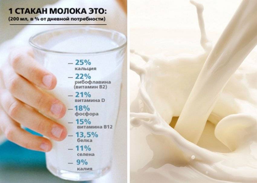 Полезно ли пить молоко для похудения? молоко на ночь при похудении.