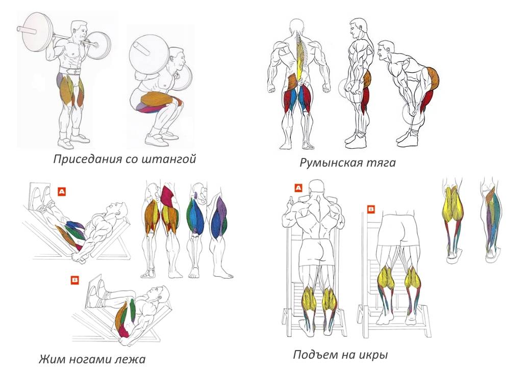 Как правильно качать спину — и с какими мышцами совмещать в один день?