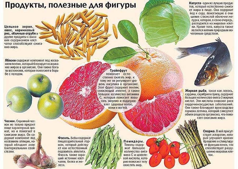 Продукты сжигающие жиры, ускоряющие обмен веществ, для быстрого похудения организма | народная медицина | dlja-pohudenija.ru