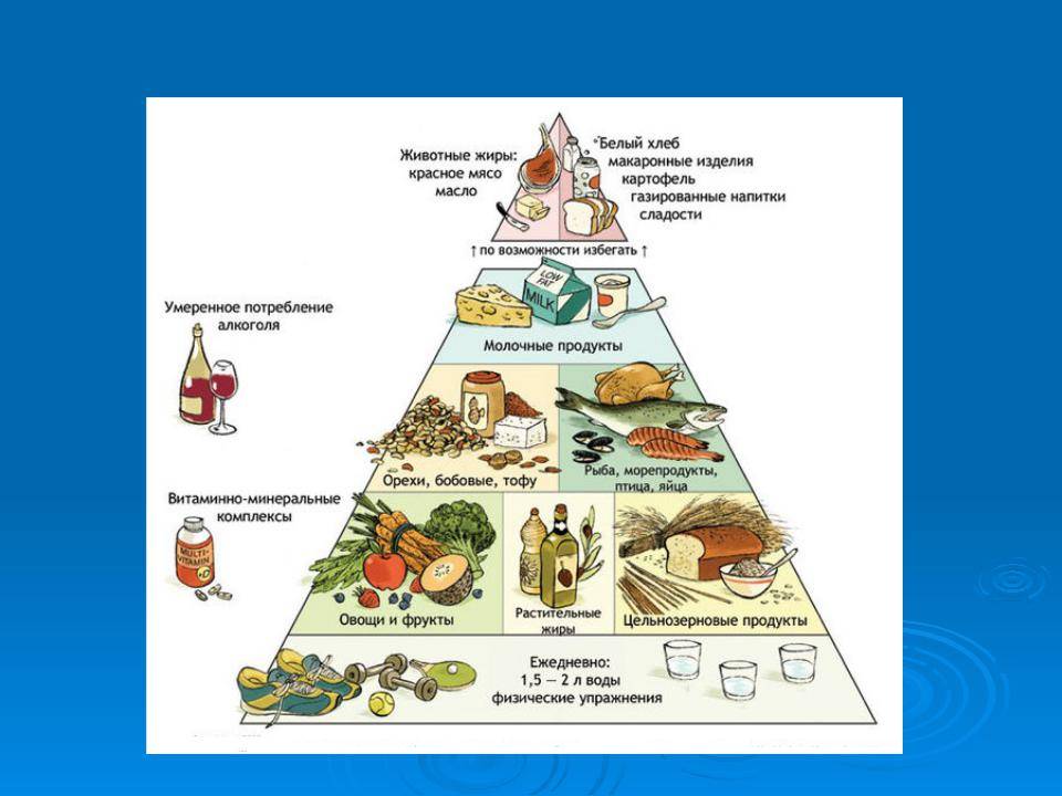 Пирамида питания здорового человека, как основа для ежедневного рациона