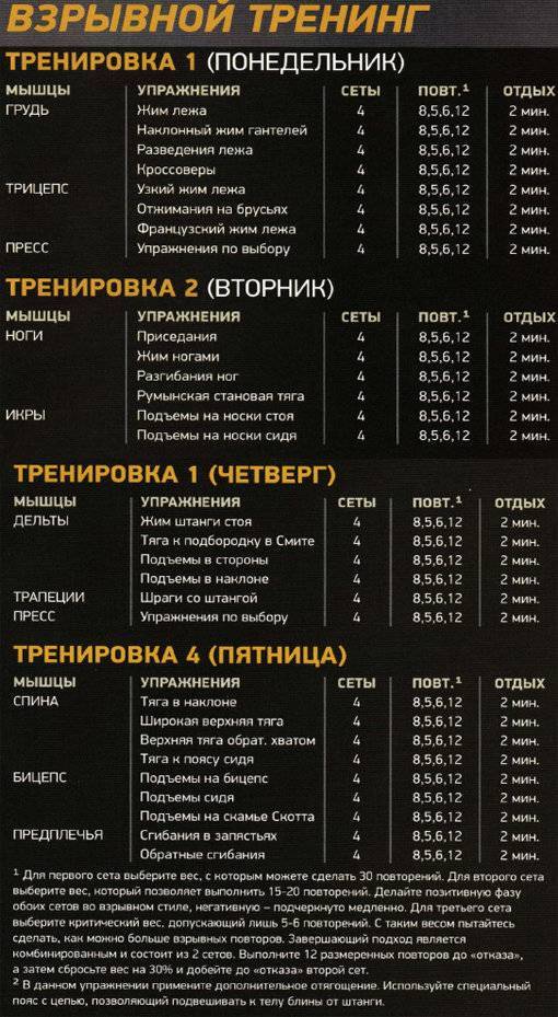 Программа для тренировок в зале для мужчин: комплекс базовых упражнений на все группы мышц, вариант схемы занятий на 3 раза в неделю, как правильно тренироваться в спортзале без тренера