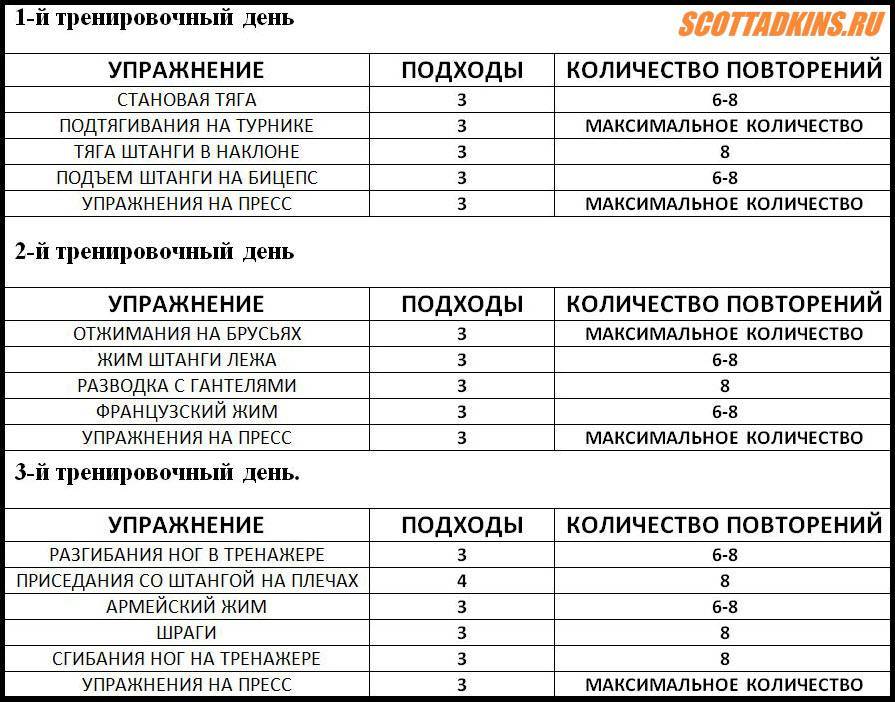 Тренировка два раза в неделю: программа и эффективность - tony.ru