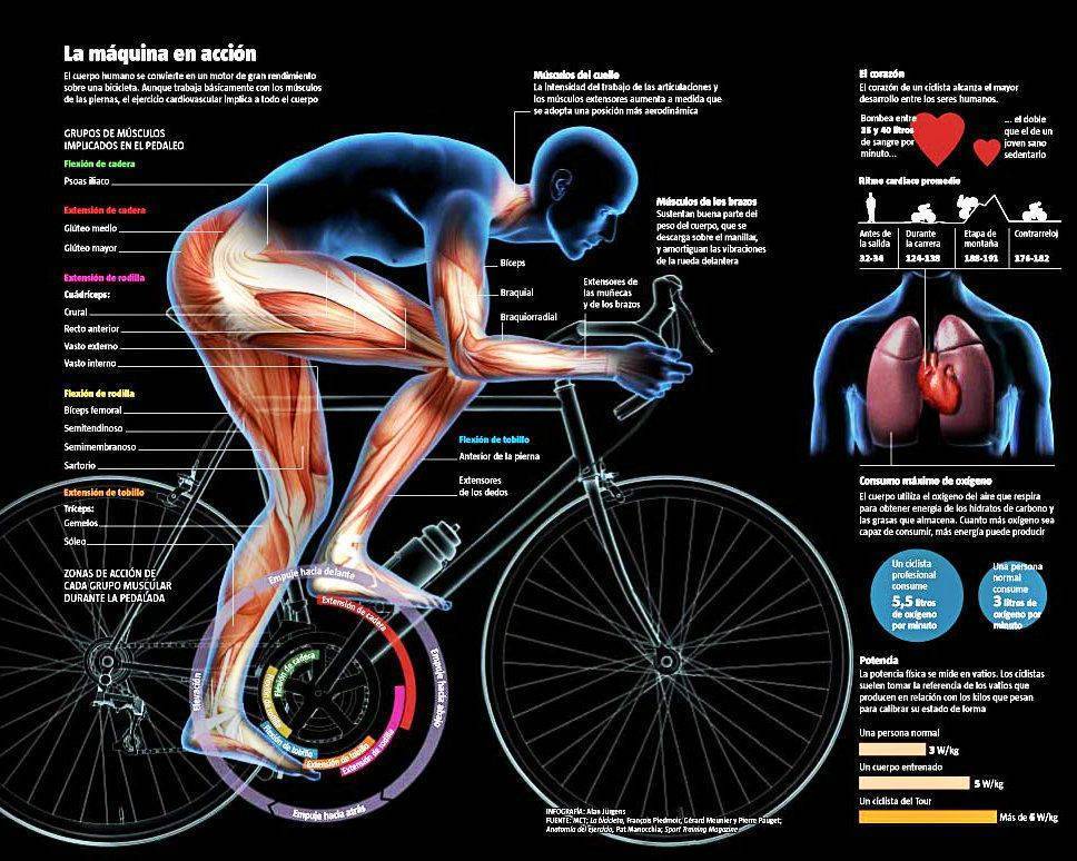 Езда на велосипеде для похудения, выносливости и здоровья сердца