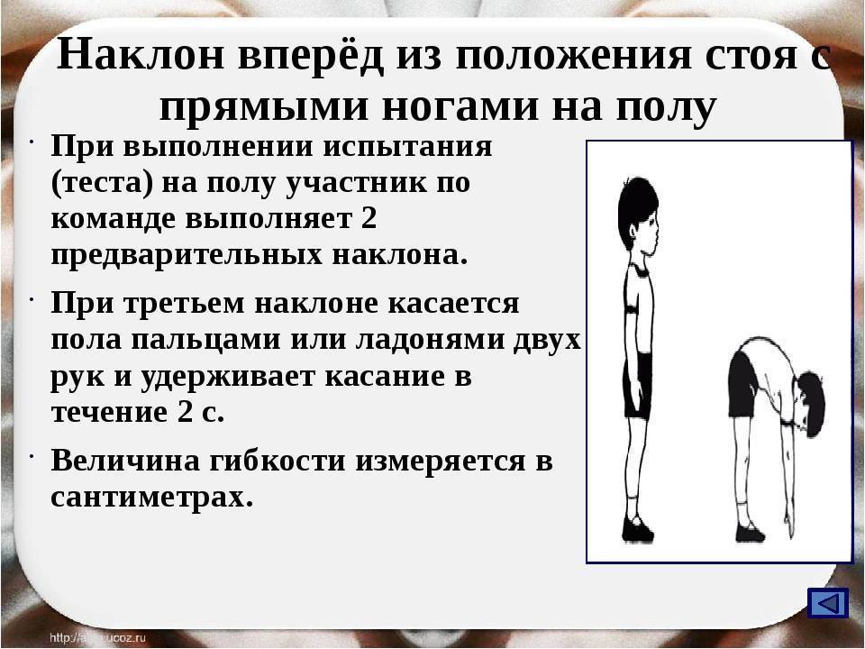 Наклоны со штангой на плечах: техника выполнения и какие мышцы работают | irksportmol.ru
