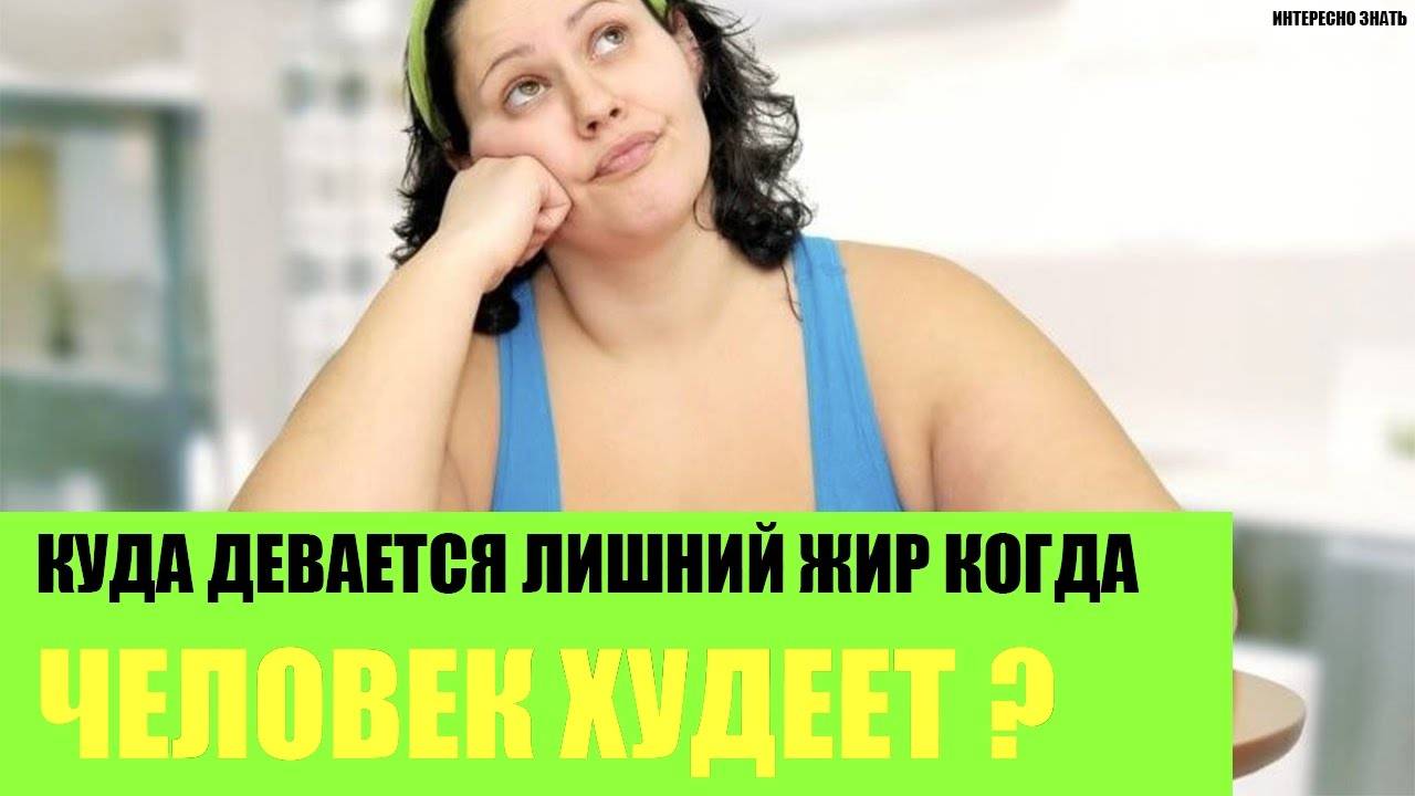 Этапы похудения тела. какие части тела худеют быстрее, медленее | irksportmol.ru