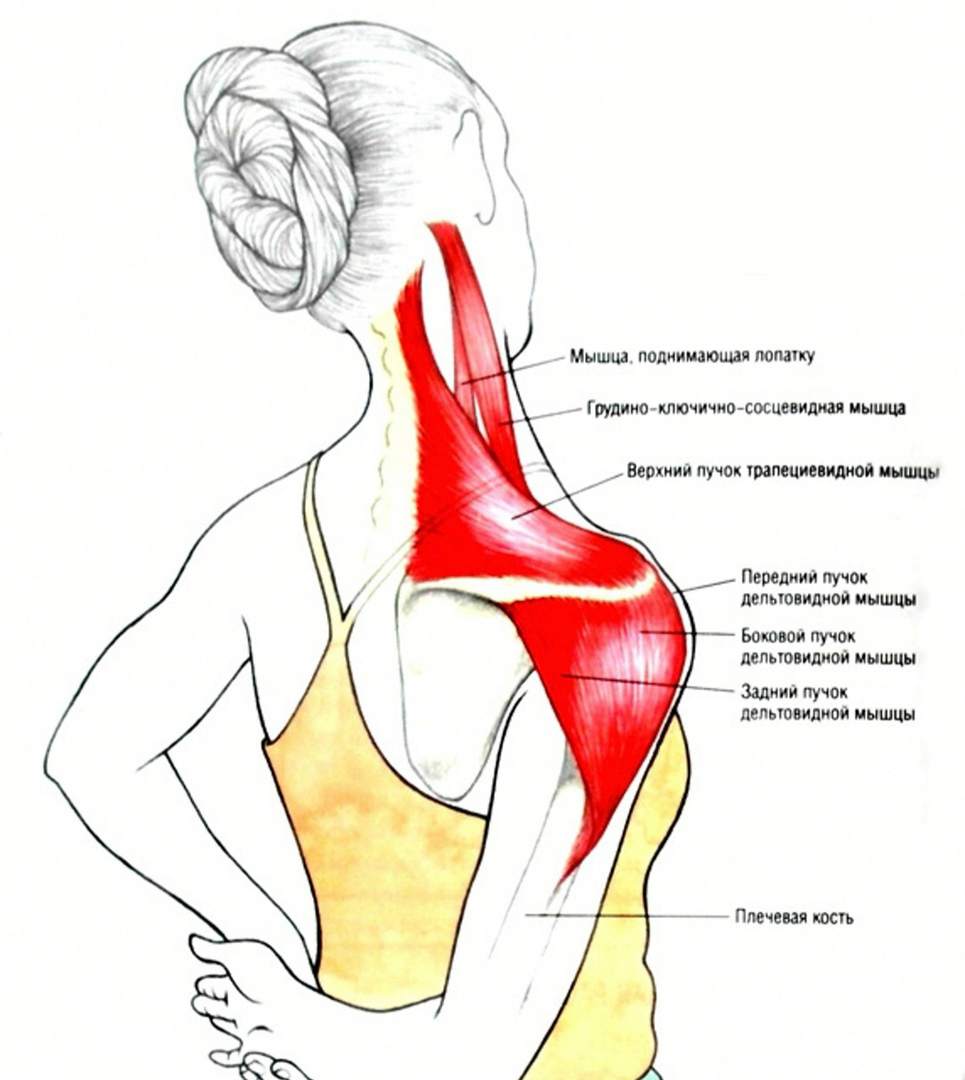 Как расслаблять мышцы шеи: способы снять напряжение, упражнения и рекомендации специалистов