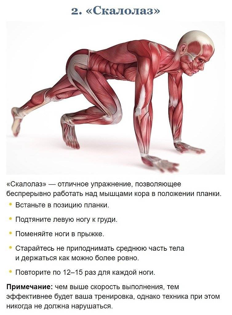 Упражнения для мышц кора с собственным весом - бомба тело