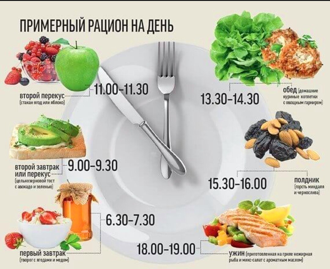 Сколько раз питаться в день, чтобы не переедать и не голодать