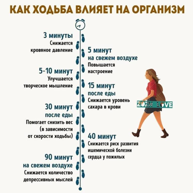 Сколько надо шагов пройти в день? польза ходьбы для здоровья - tony.ru